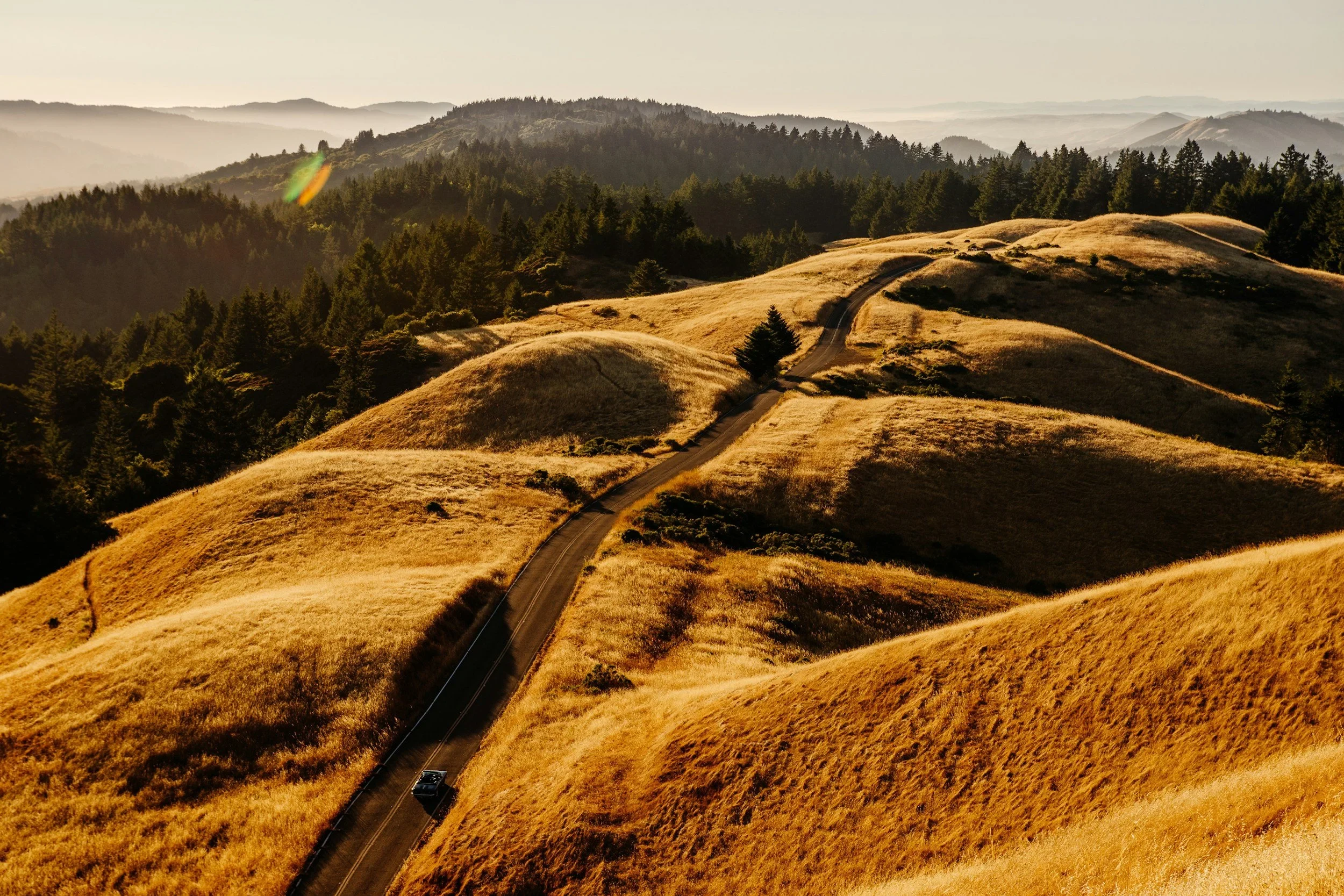 Golden hills of Marin